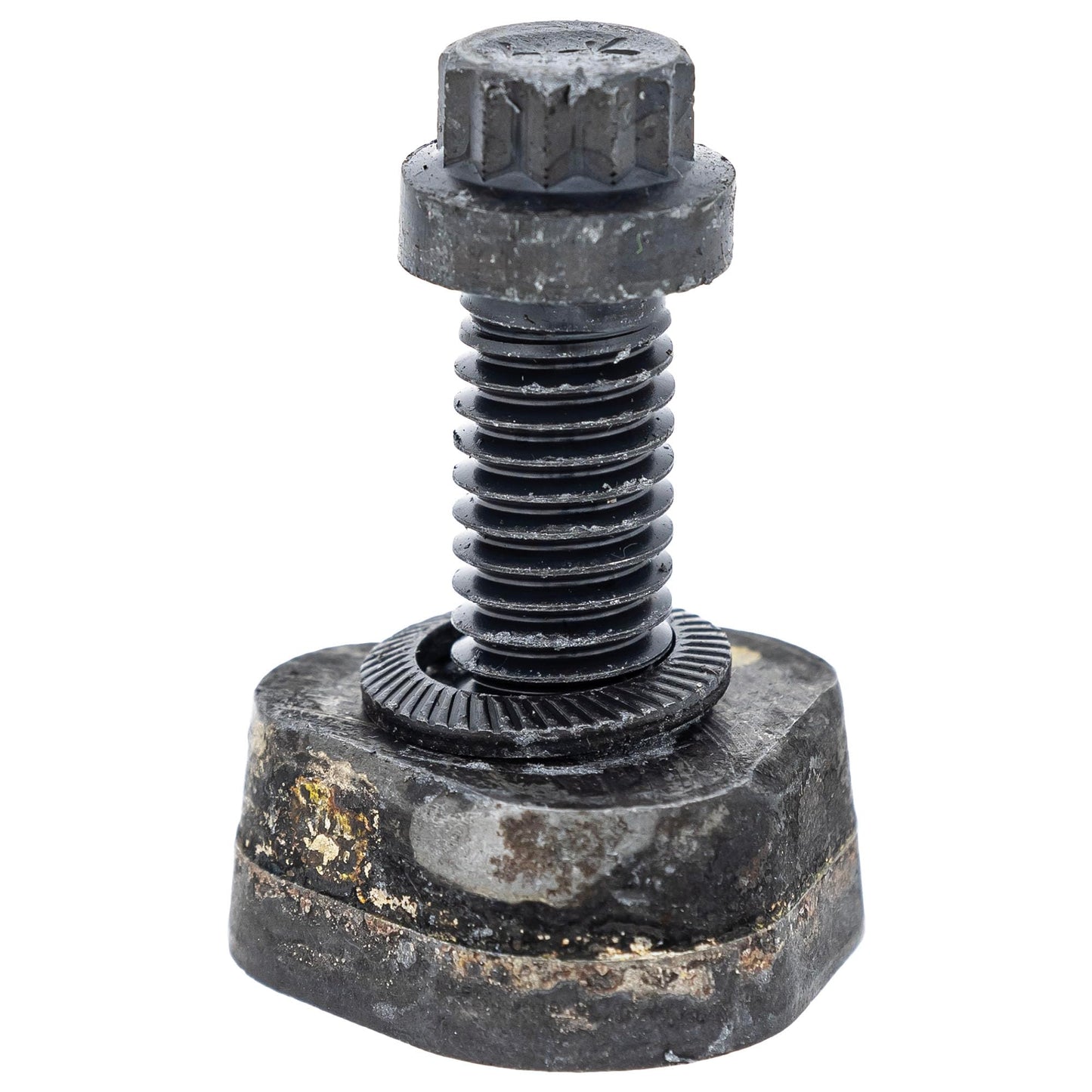 525435303 Stump Grinder Teeth